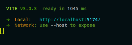 localhost-vite.png